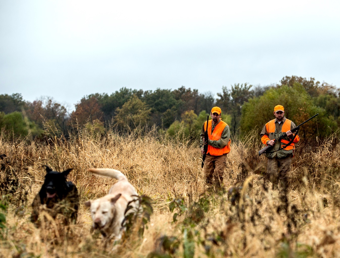Bird Hunting Preserves - NSSF Let's Go Hunting