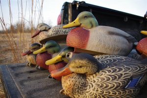 Match your decoys to what’s happening at any given moment. The key is to brings as many as you can haul in, then adjust on the fly.