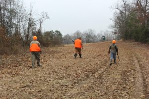 Make sure all hunters in a group hunt move at the same pace and stay in a straight line for safety. If young hunters work ahead or lag behind the rest of the line, stop the hunt and allow everyone to reposition.