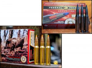 Get the best ammunition you can afford. The bullet is the only part of the gear equation that touches your deer. Federal EDGE TLR and Norma Tip-Strike are among the excellent choices for deer hunting.