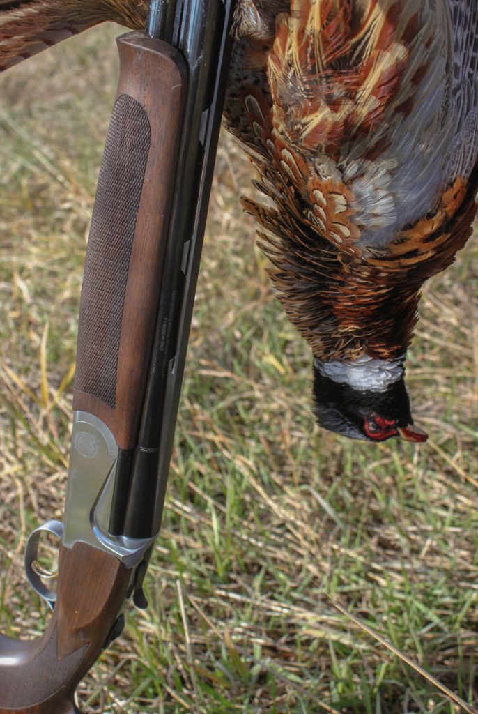 The choice of firearms is always personal. Pheasant hunting favors 20- and even 20-gauges in the early season, while the 12-gauge is standard fare for wary, late-season birds that get up fast and far ahead of hunters and dogs. Interchangeable chokes are a must for hunting the season from start to finish.