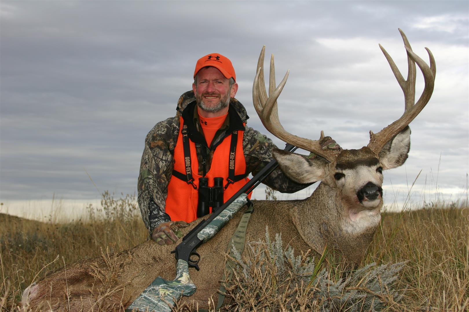 Mule deer feed deals