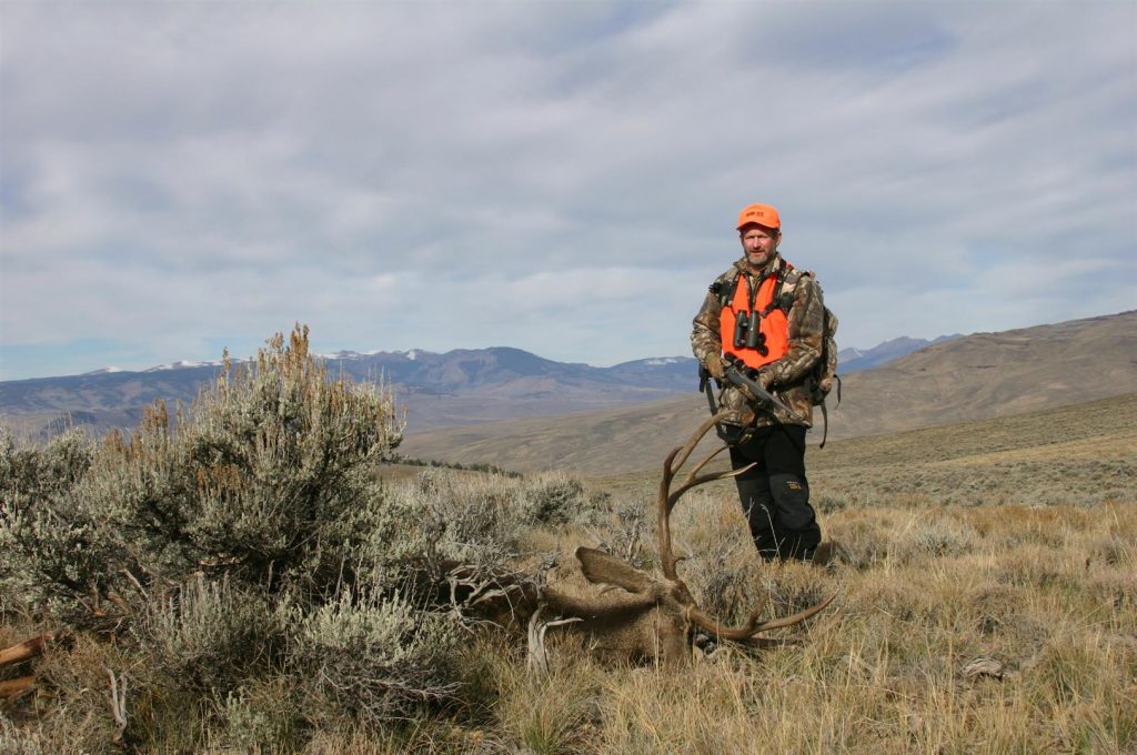 Mature bucks can sometimes be found with herds of does in semi-open sagebrush country during the rut, making them more vulnerable than at any other time of the year.