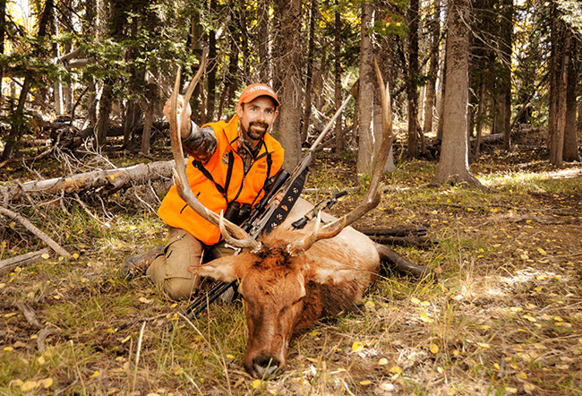 Colorado Elk