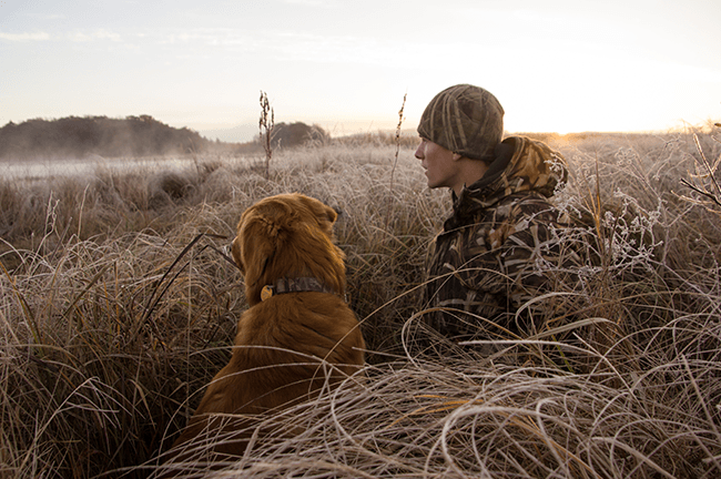 Hunting Dog - Bird Hunting Dog