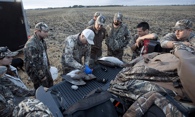 Delta Waterfowl - Hunting Harvest
