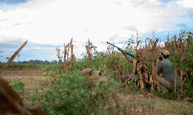 NWTF - Mentored Hunt