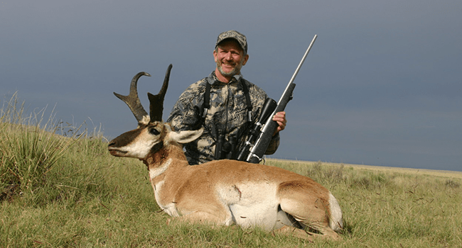 Pronghorn