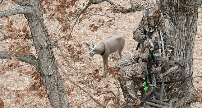 Male bow hunter in a tree stand with buck decoy placed behind him