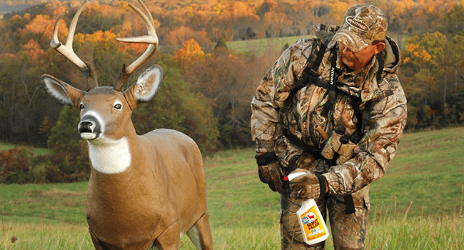 Male hunter spraying a buck decoy with scent eliminator