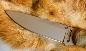 Skinning Squirrel