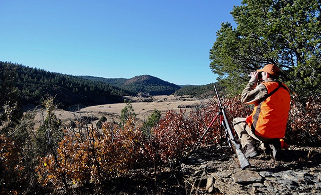 Tracking Deer