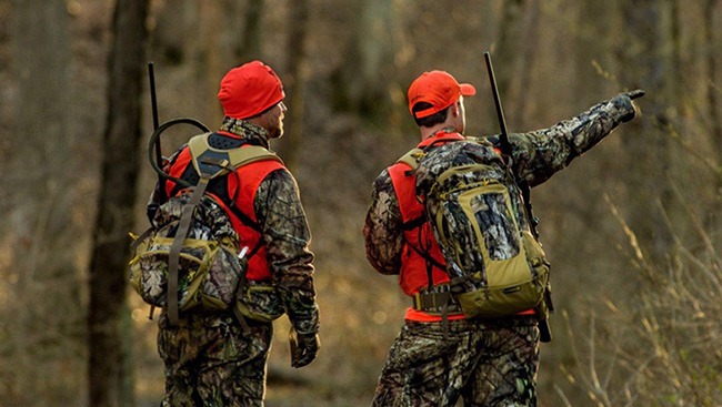 Tracking Deer