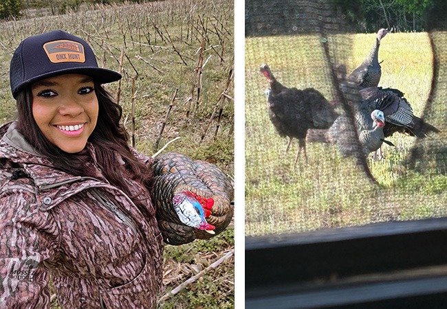 Turkey hunting