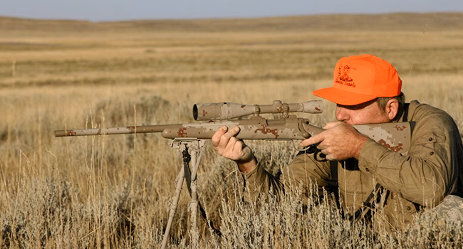 Bipod