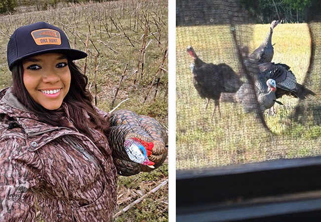 Turkey hunting