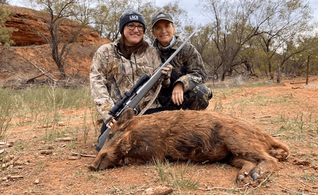 HDMR +ONE - Hog Hunt