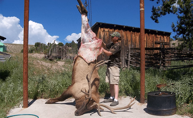 Skinning