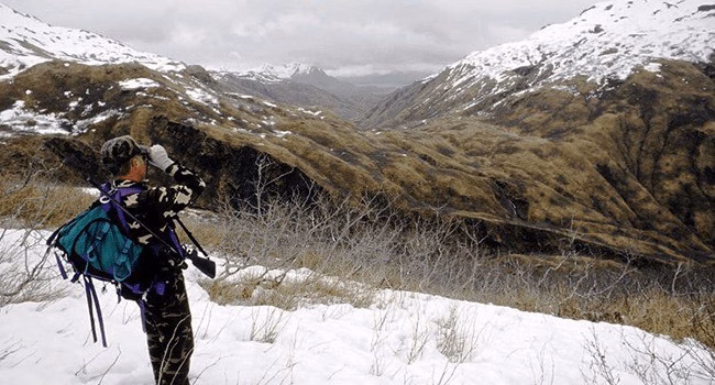 Using Binoculars on bear hunt