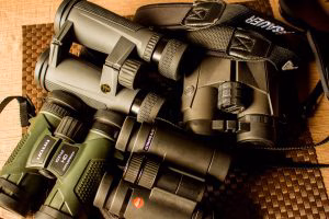 Lean heavily on your binocular. You’ll see more deer as you scan the brush than you ever would with the naked eye.