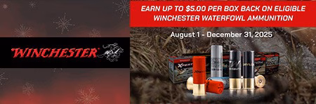 Winchester Holiday Deals