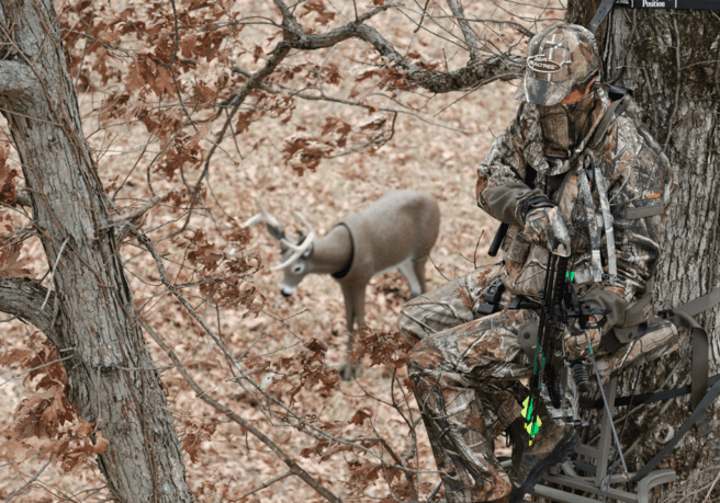 Deer Decoy