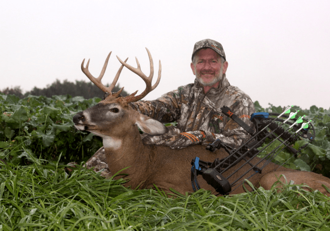 Whitetail